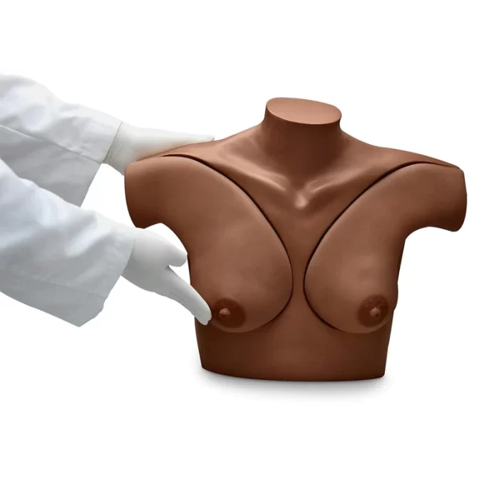 Gaumard Breast Examination Simulator, Dark