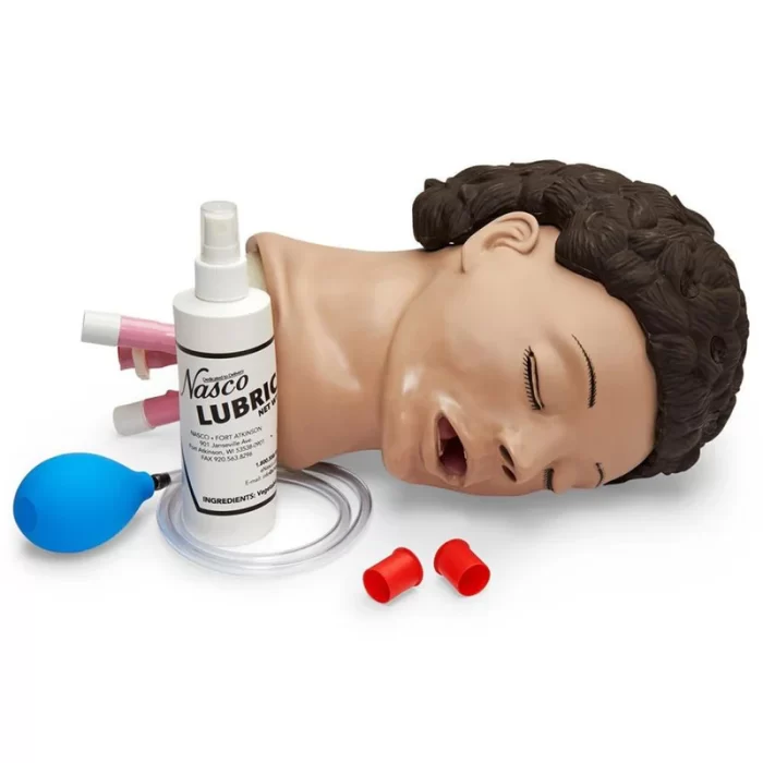 Adult Airway Management Trainer