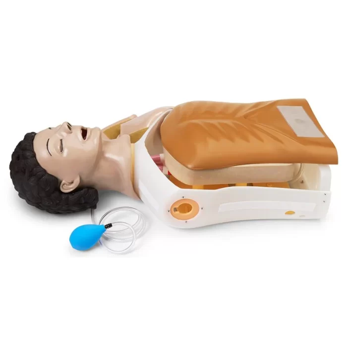 Adult Airway Management Trainer Torso Manikin - Image 6