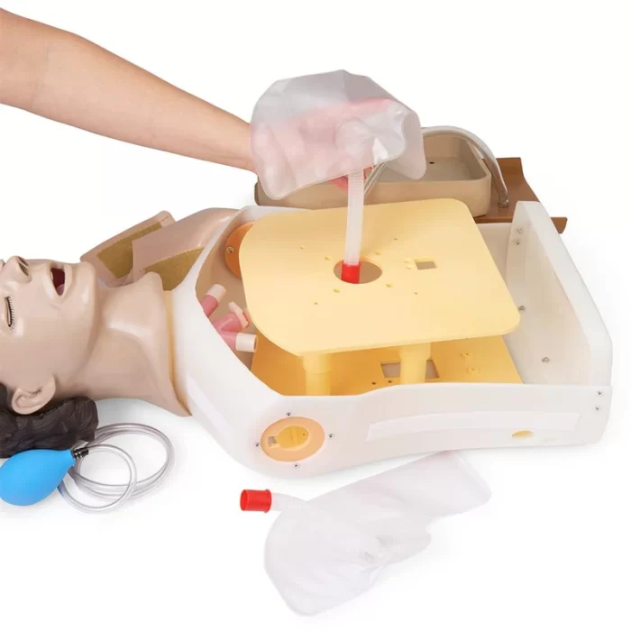 Adult Airway Management Trainer Torso Manikin - Image 7