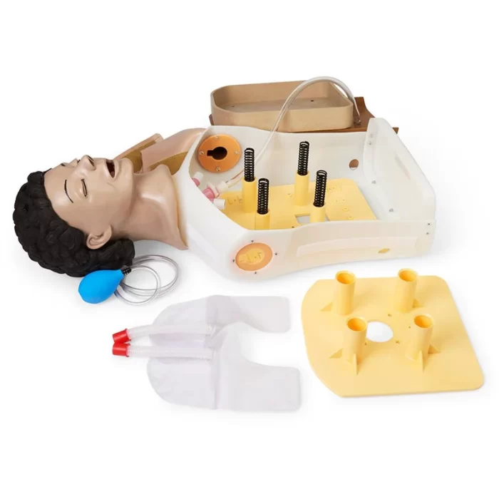 Adult Airway Management Trainer Torso Manikin - Image 8