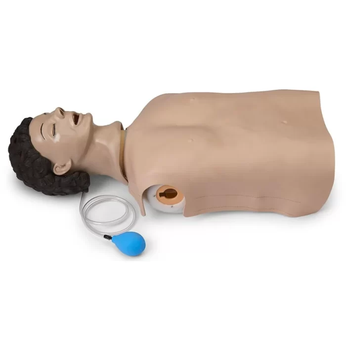 Adult Airway Management Trainer Torso Manikin - Image 9