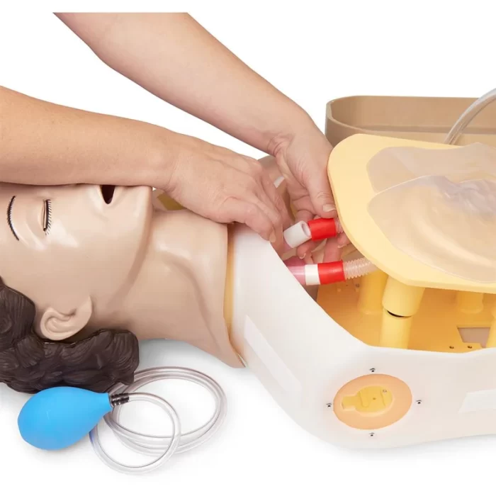 Adult Airway Management Trainer Torso Manikin - Image 5