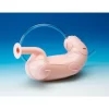 Koken ESD (Endoscopy Submucosal Dissection) Training Model with Case - Image 2