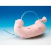 Koken ESD (Endoscopy Submucosal Dissection) Training Model with Case - Image 3